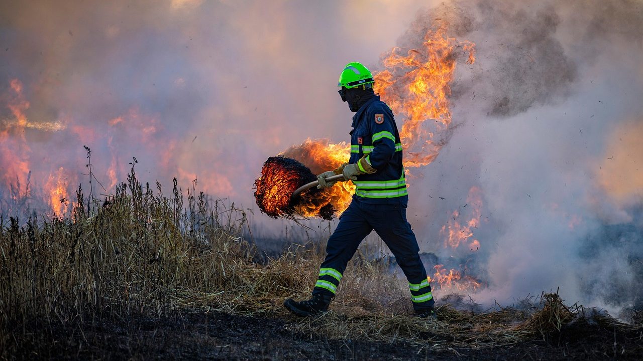 Thick orange smoke billows from a hillside as flames consume dry brush in the foreground.