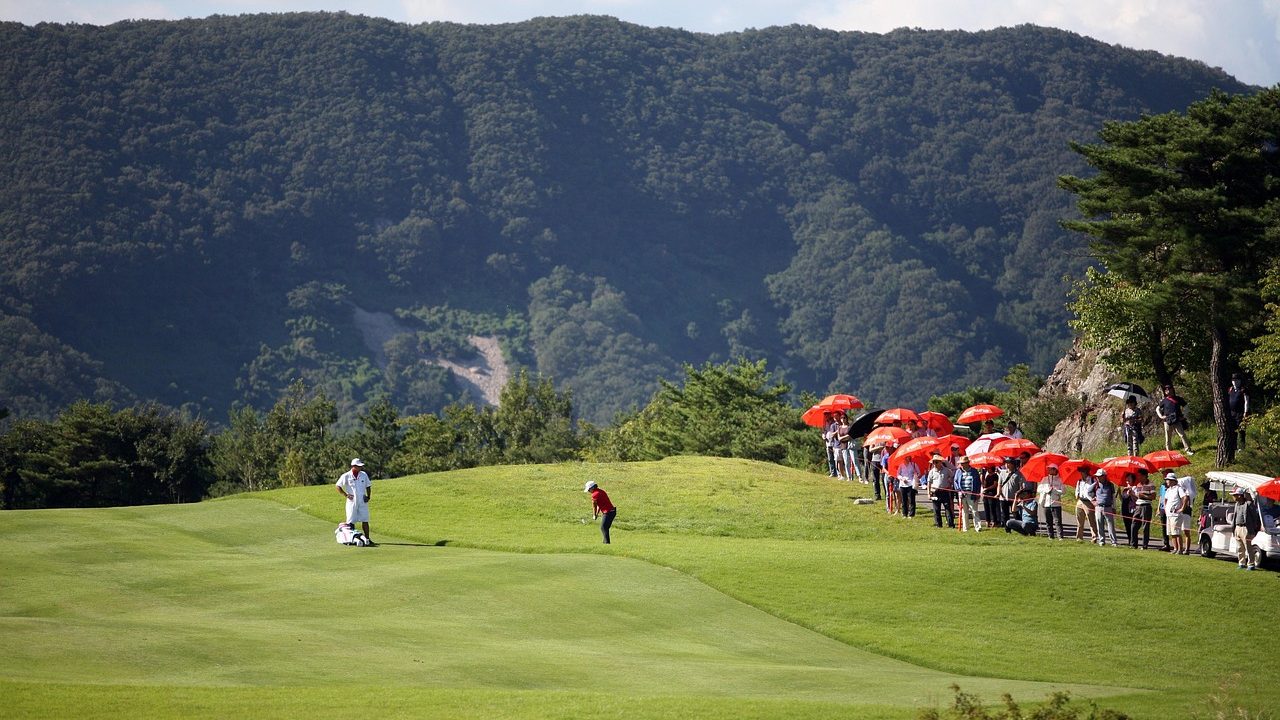 A gallery of spectators lines a sun-drenched fairway watching a celebrity golf tournament.