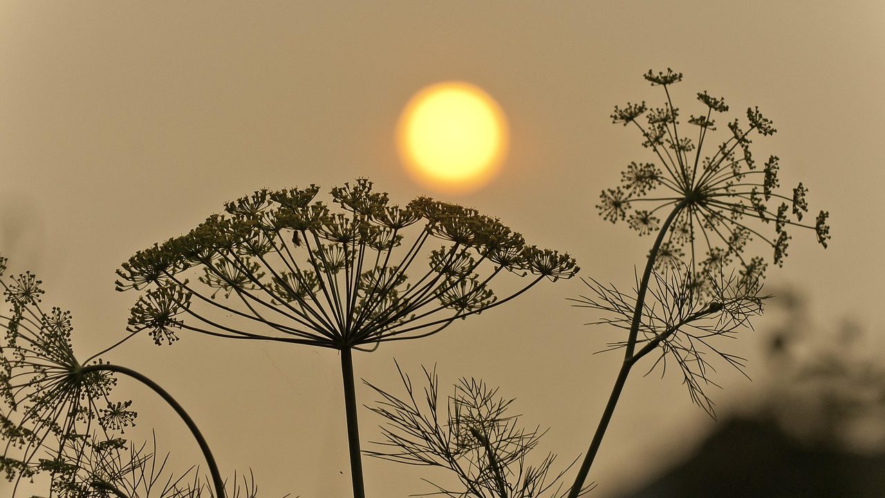 A hazy orange sky over dry hills with smoke obscuring the horizon from a distant wildfire.
