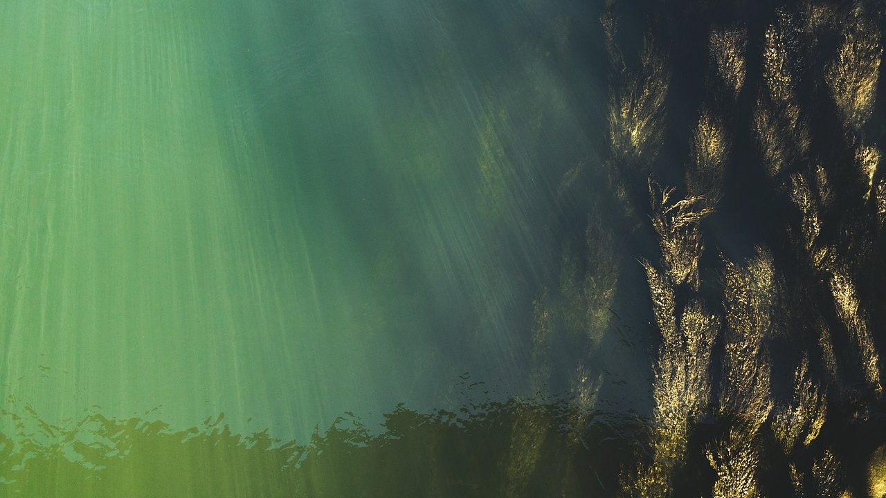 A wide river shows exposed rocky banks and dramatically reduced water flow during drought conditions.