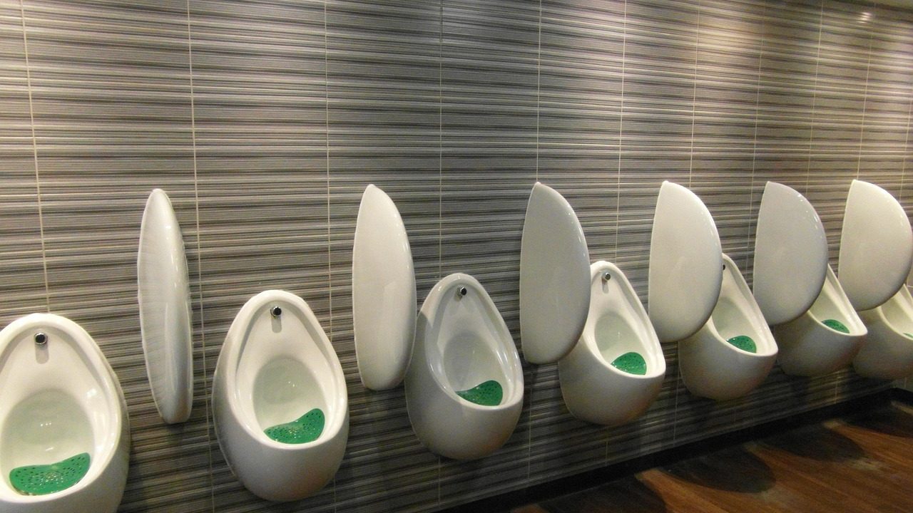 A clean concrete restroom facility surrounded by green park lawn on a sunny day.