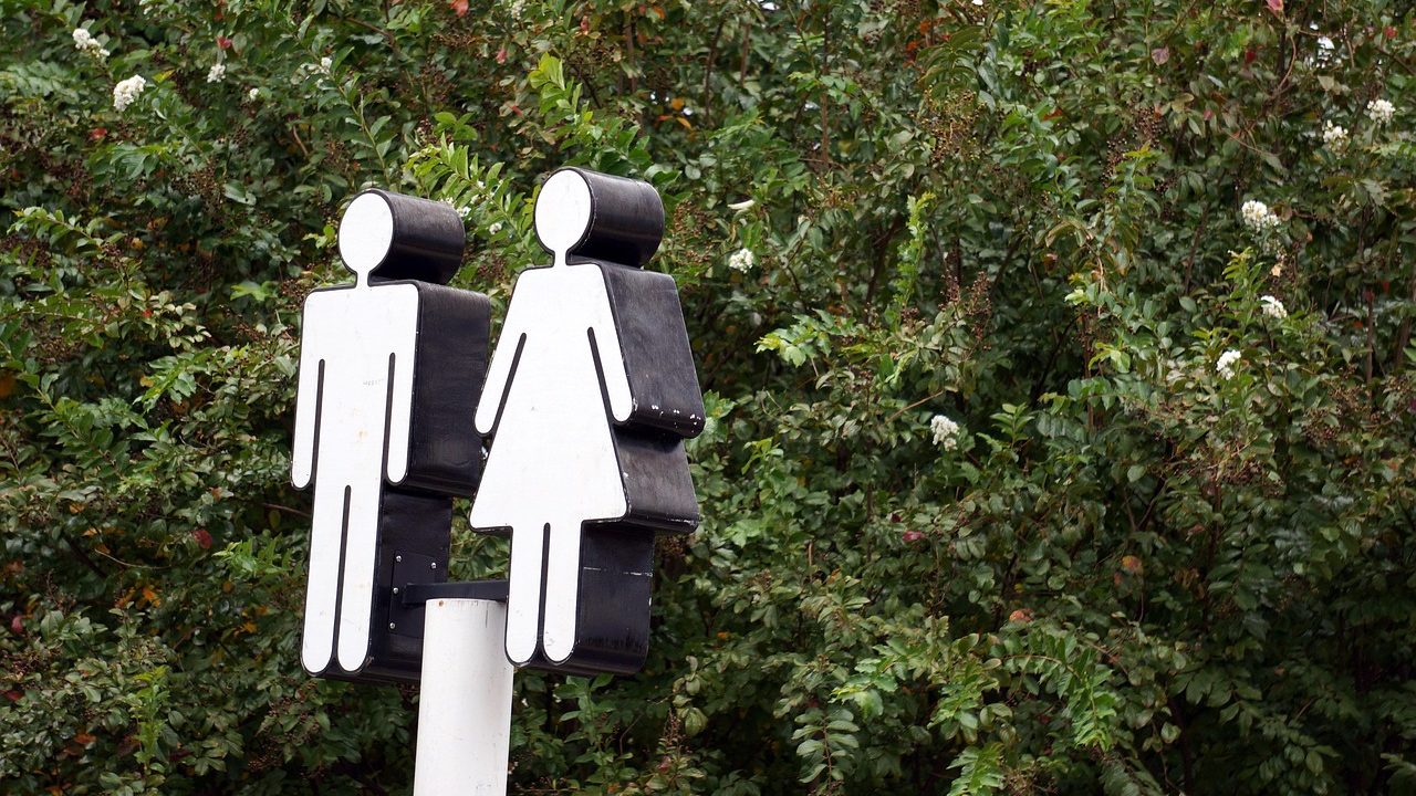 A clean public restroom building surrounded by park greenery on a sunny day.
