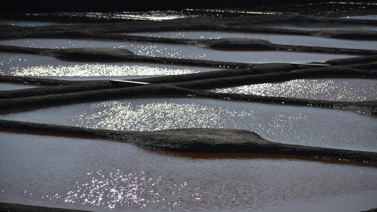 A restored coastal marsh with tall reeds, still water, and open sky reflected on the surface.