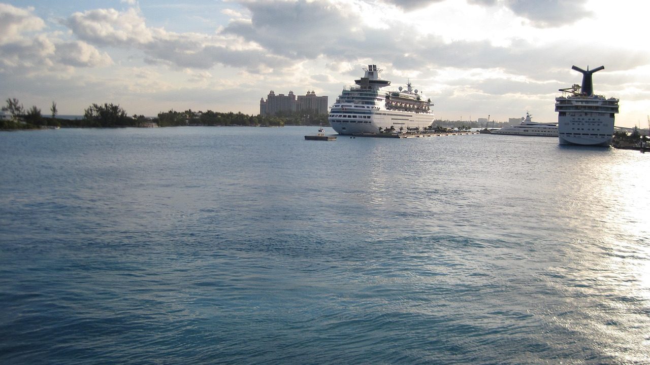 A large white cruise ship moored at a commercial port terminal with gangways extended.